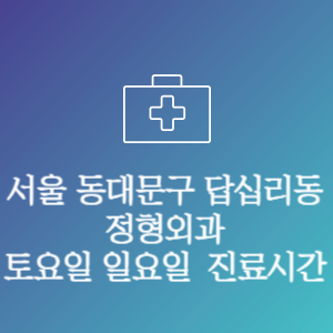 서울 동대문구 답십리동 정형외과 주말 토요일 일요일 문여는 병원 진료시간
