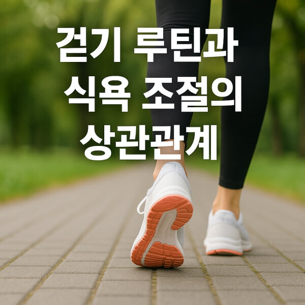 걷기 루틴과 식욕 조절의 상관관계/gpt