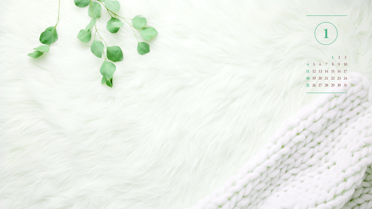 06 흰색 털 A - 2026년1월 달력배경화면