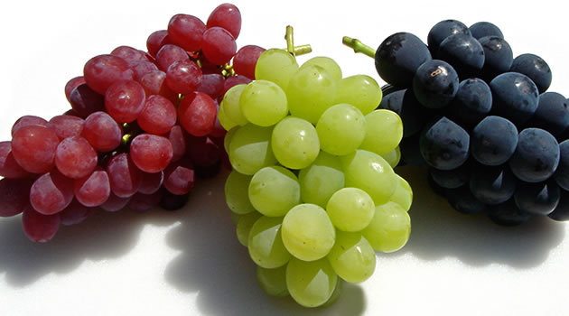 포도의 부작용