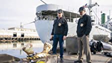 [미드 다시보기 드라마추천] NCIS 시즌20 정주행 전편