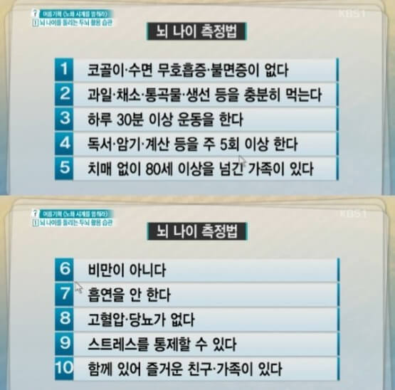 뇌나이 측정