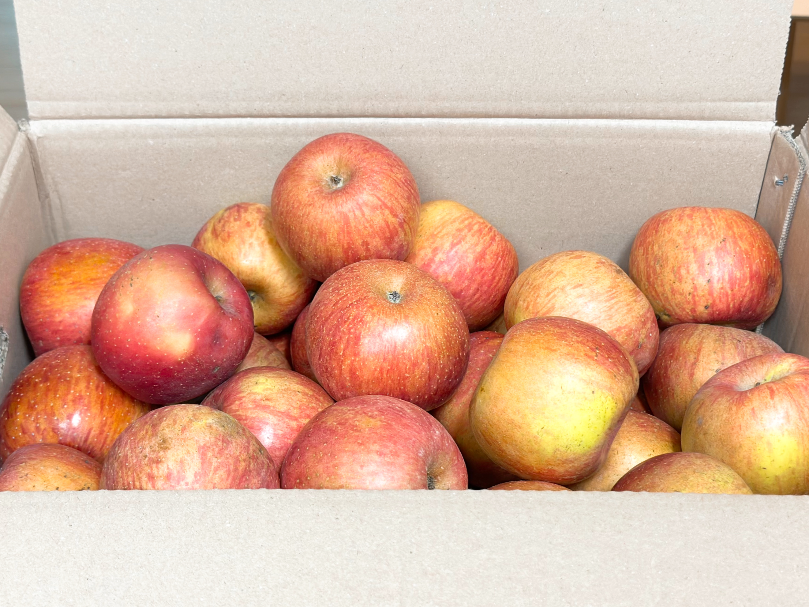 못난이 흠과 사과 10kg