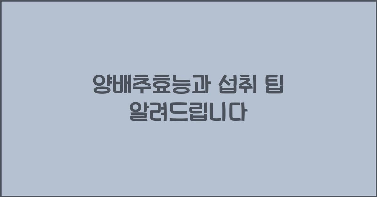 양배추효능