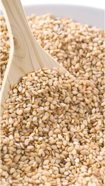 참깨 파종시기 재배방법 남부 중부_2