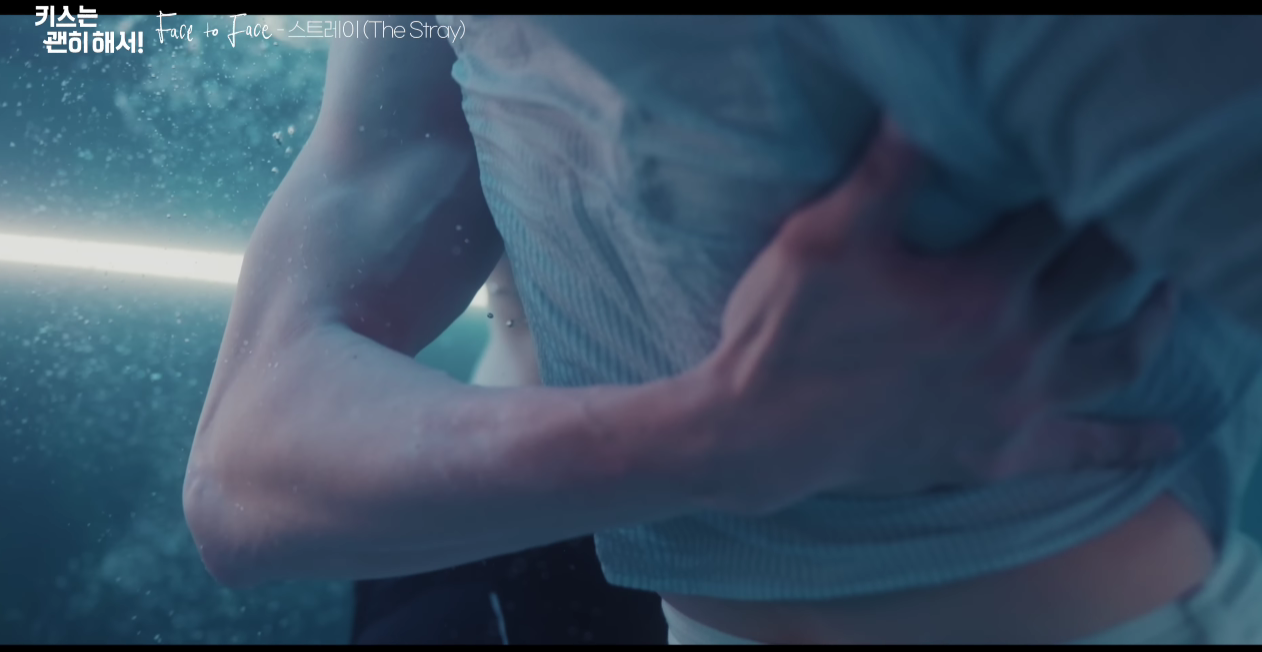스트레이(The Stray) Face to Face
