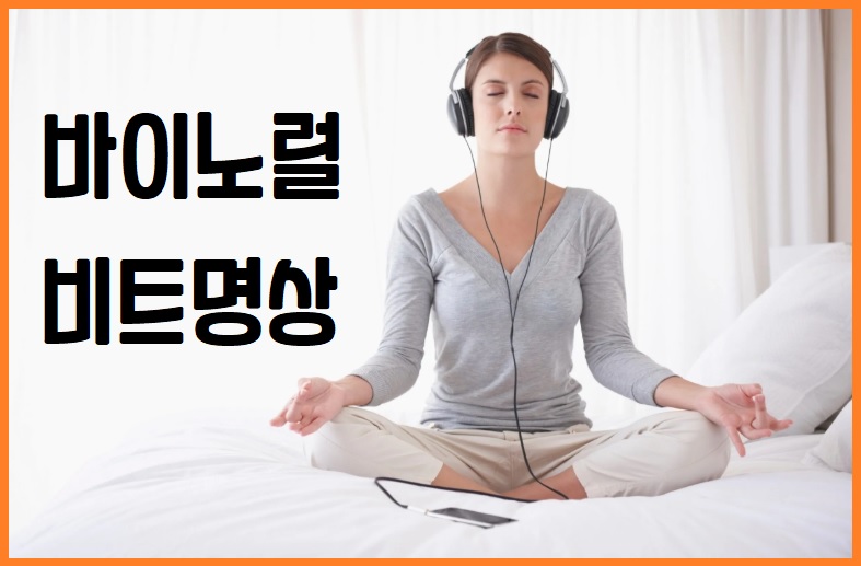 바이노럴 비트 명상