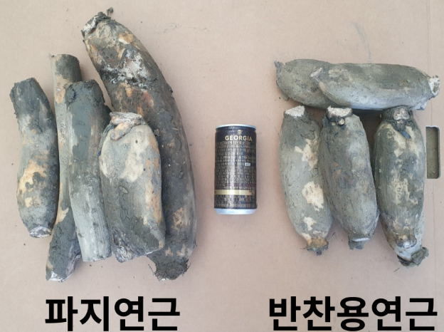 서가네- 흙사랑경산연근