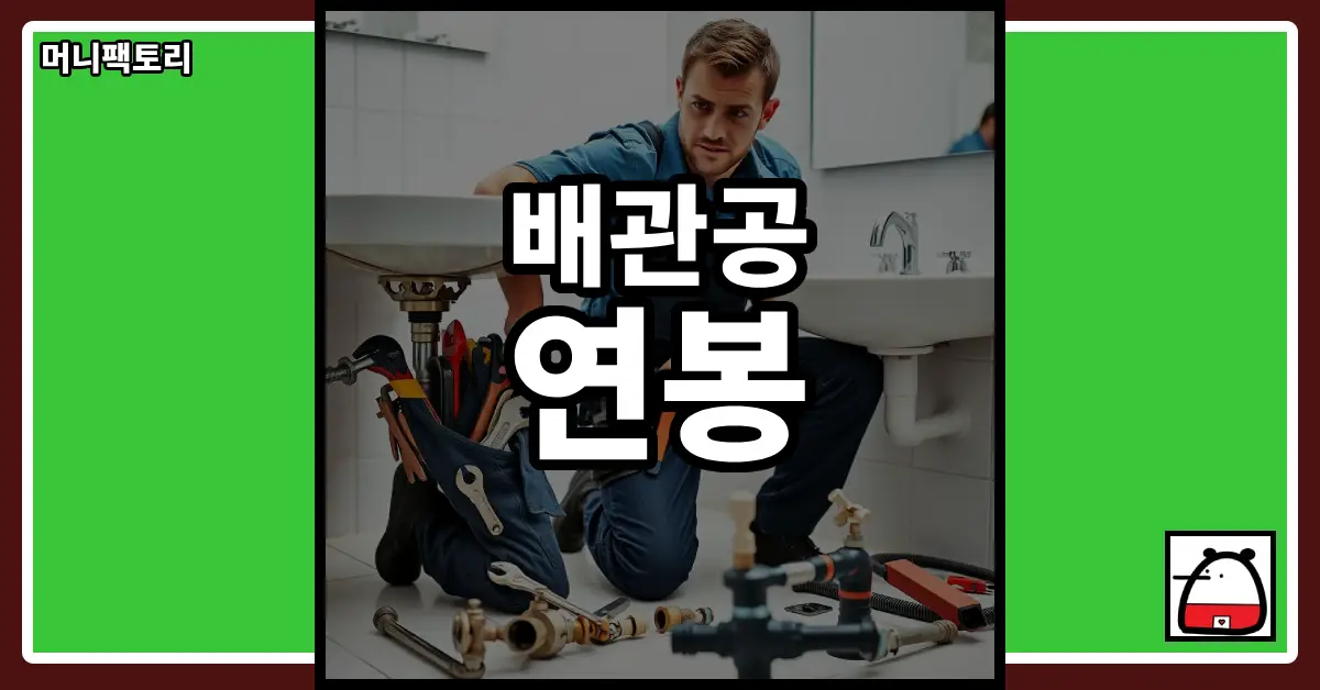배관공연봉