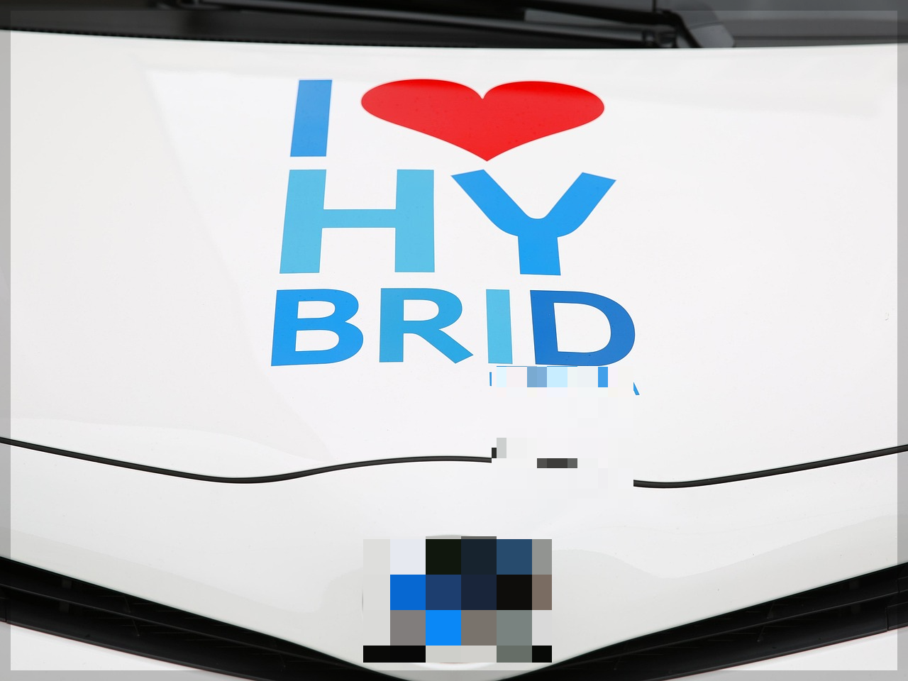 하이브리드 차이미지 사진