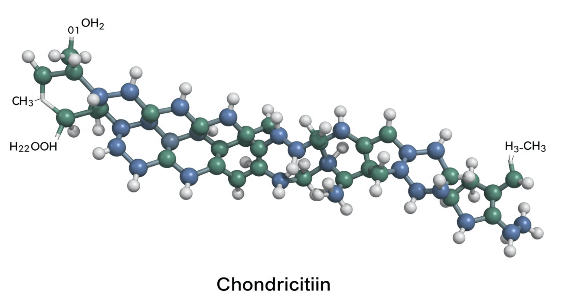 콘드로이친-효능-복용법