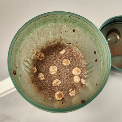 쉐이크베이비마시멜로저지방우유혼합