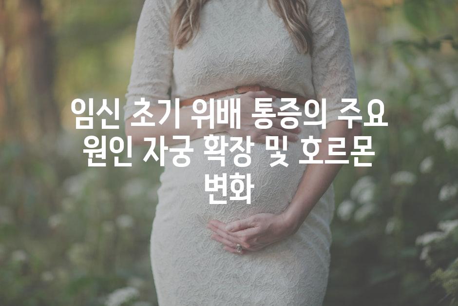 임신 초기 위배 통증의 주요 원인 자궁 확장 및 호르몬 변화