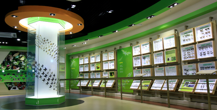 양평 곤충박물관