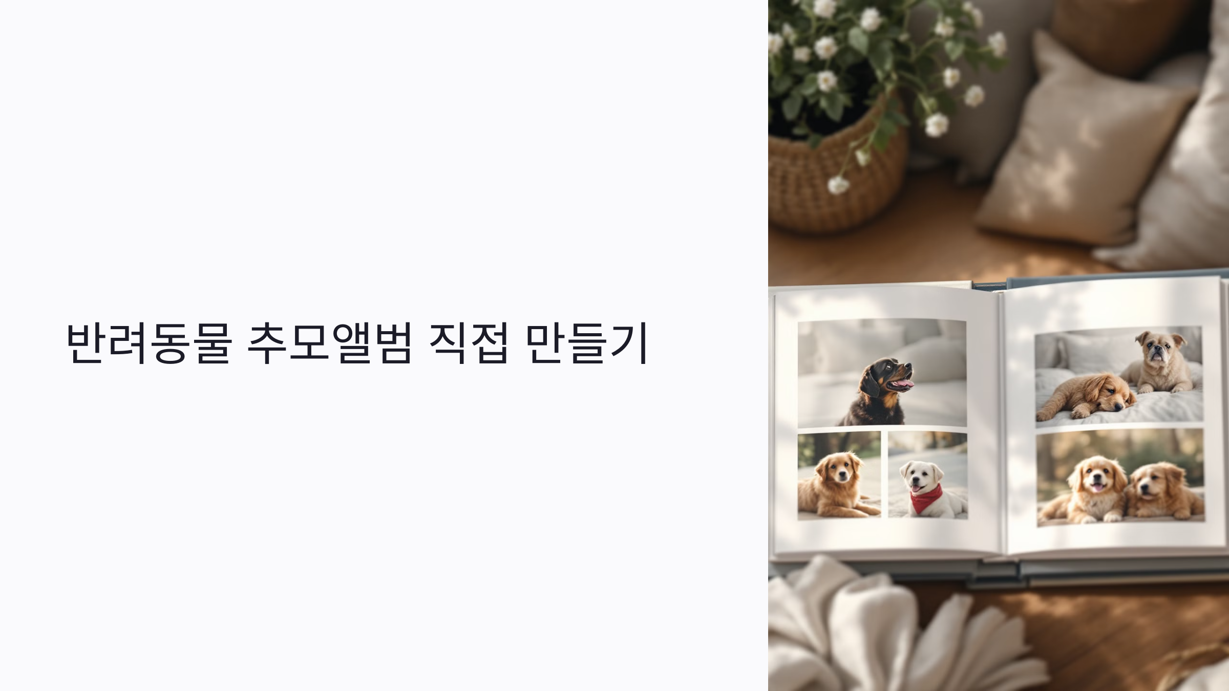 반려동물 추모앨범 직접 만들기: 준비물부터 디자인, 출력까지