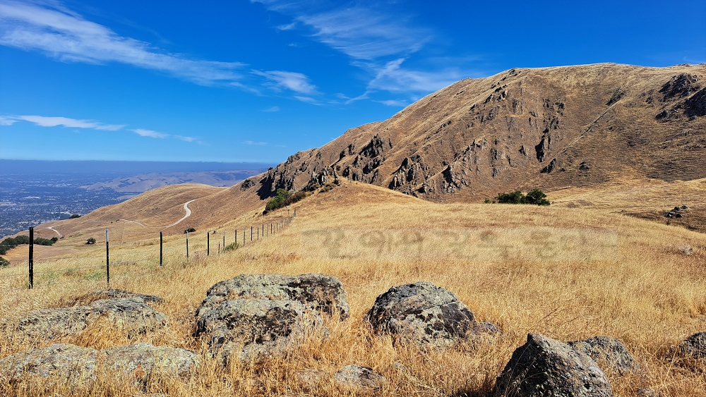 변함없는 미션픽