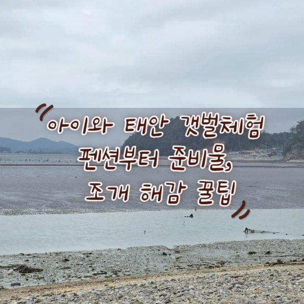 아이와 태안 갯벌체험 펜션부터 준비물, 조개 해감 꿀팁