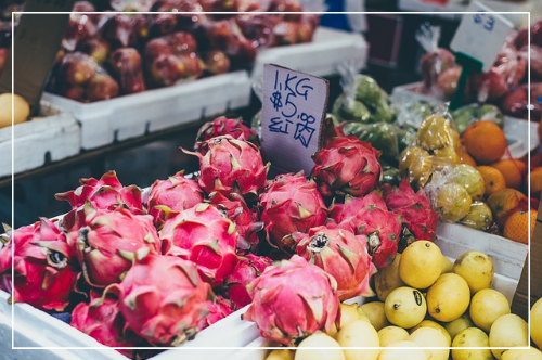 용과의 효능과 효과 