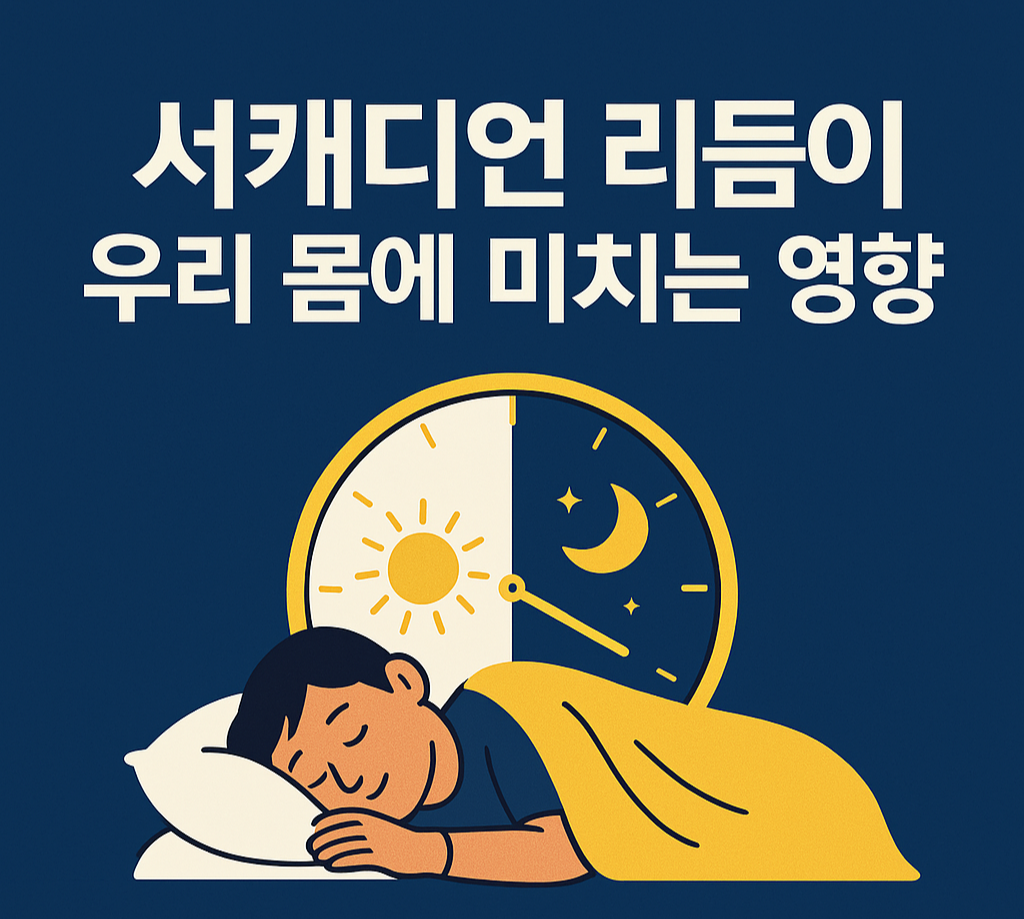 서캐디언 리듬