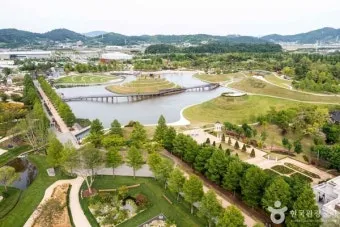 순천만 국가정원 여행 코스 전동카트 갈대밭 사진 포인트_10