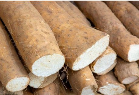 위에 좋은 음식