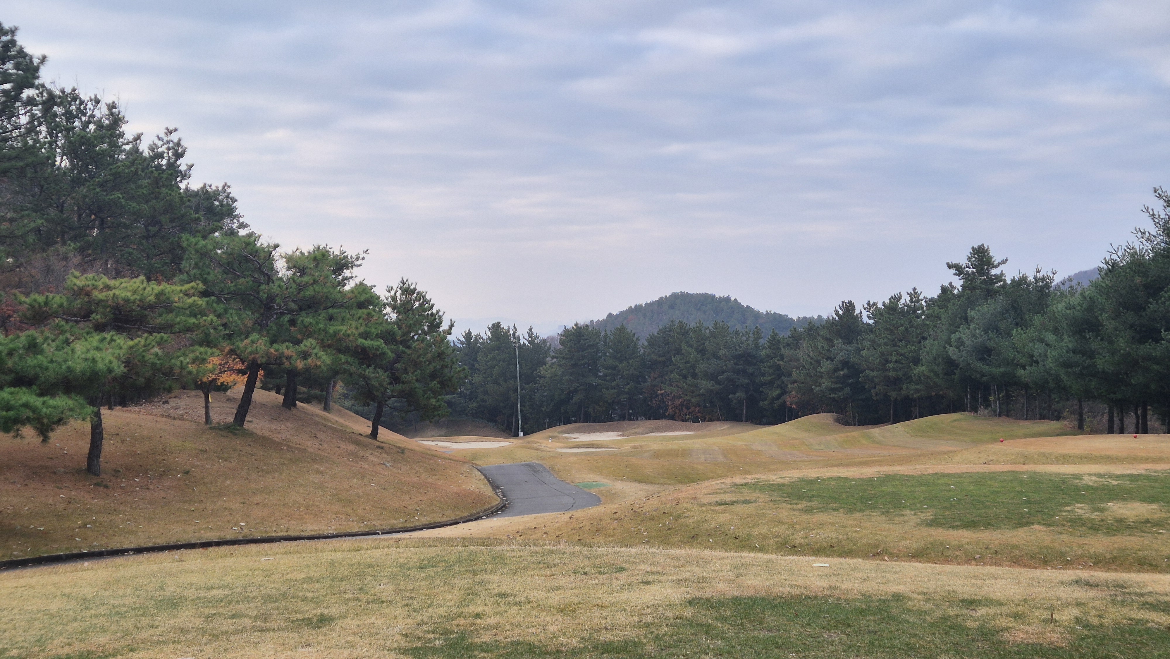 올데이 떼제베cc 가람코스 사진 및 공략 정보