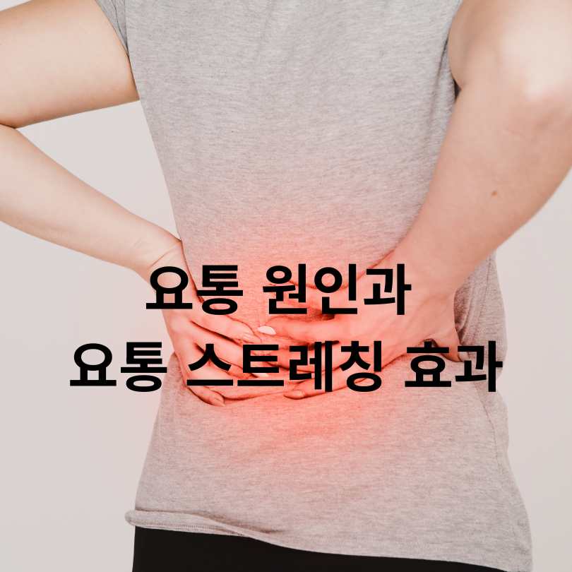 요통 원인과 요통 스트레칭 효과