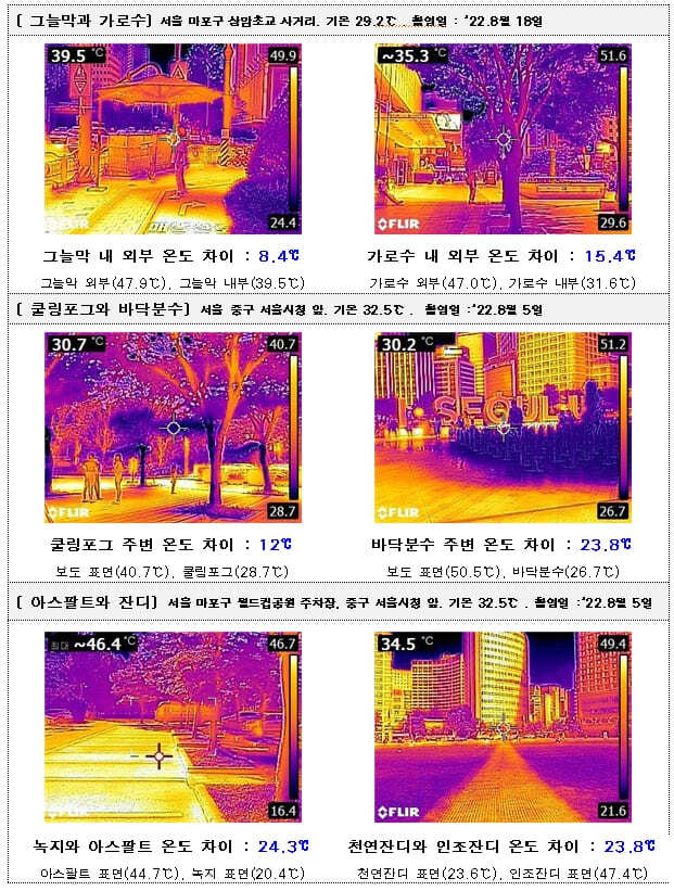 서울기술연구원, “가로수가 그늘막보다 폭염에 효과”
