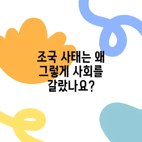 조국 사태는 왜 그렇게 사회를 갈랐나요?