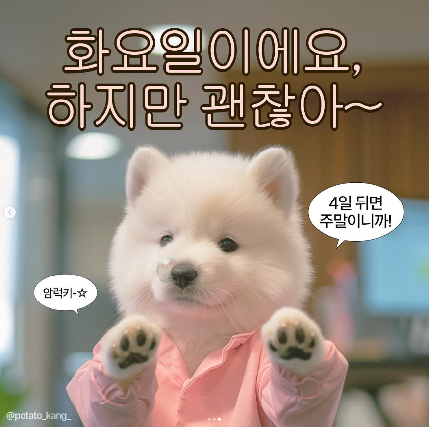 원영적 사고의 예시