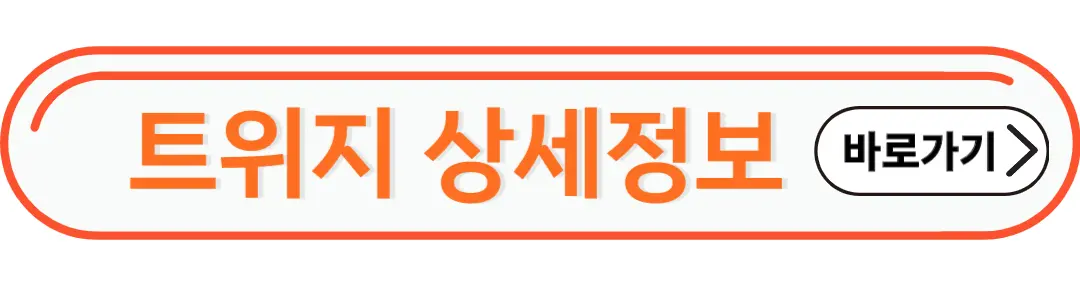 트위지상세정보