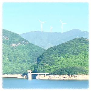 밀양호