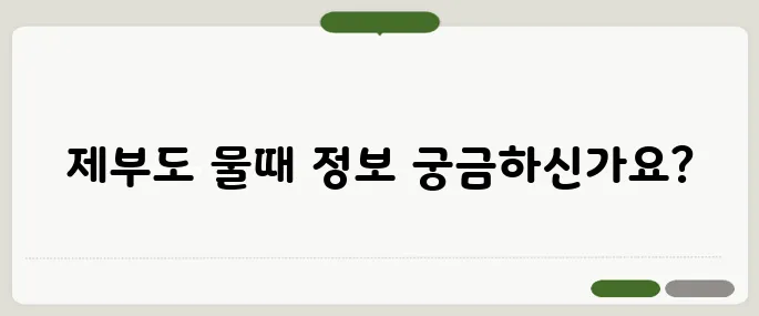 제부도 물때시간표 비교 알아두면 득이 돼요