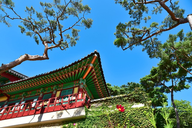 사찰별 단청의 특생에 관한 사진