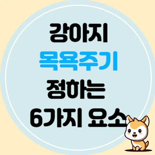 반려견 목욕주기 정하는 6가지 요소