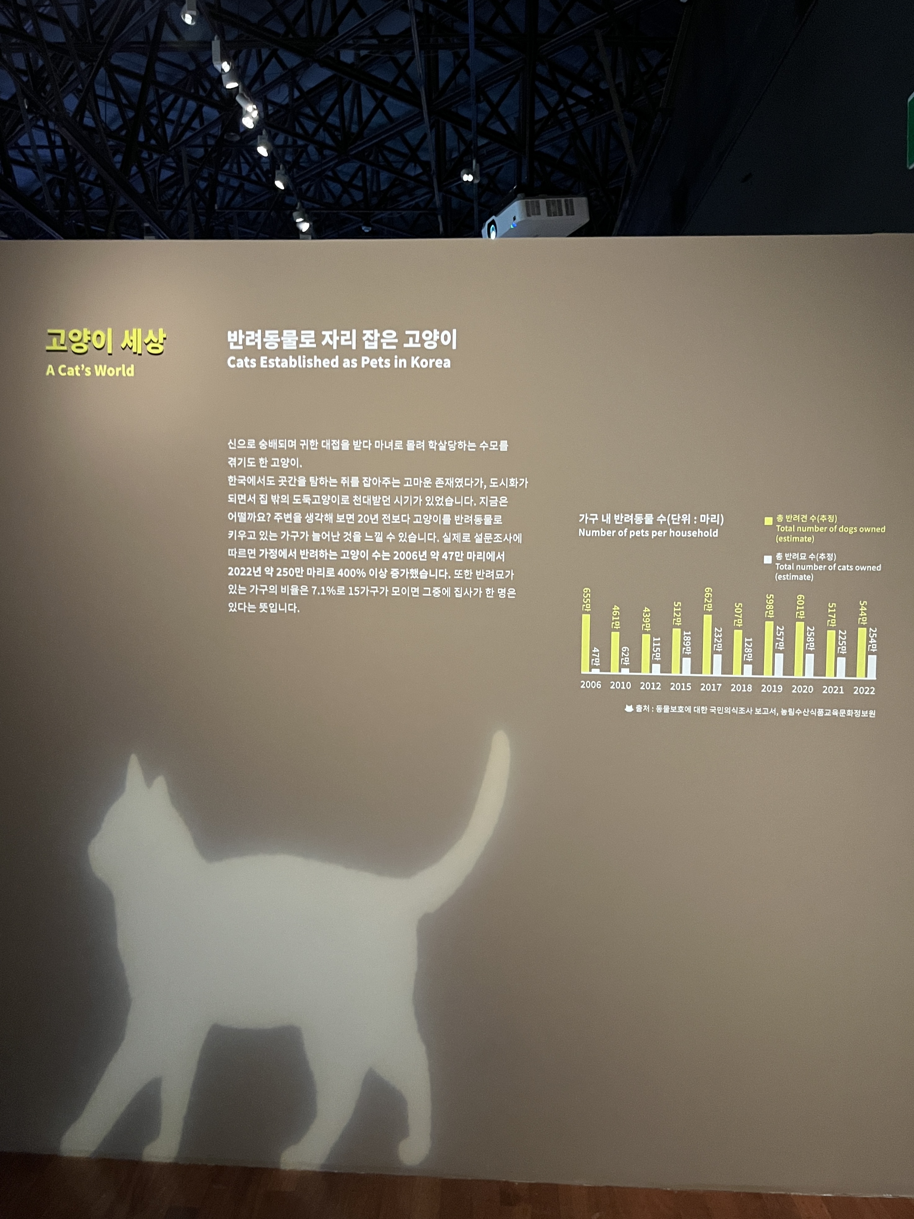 요물 우리를 홀린 고양이