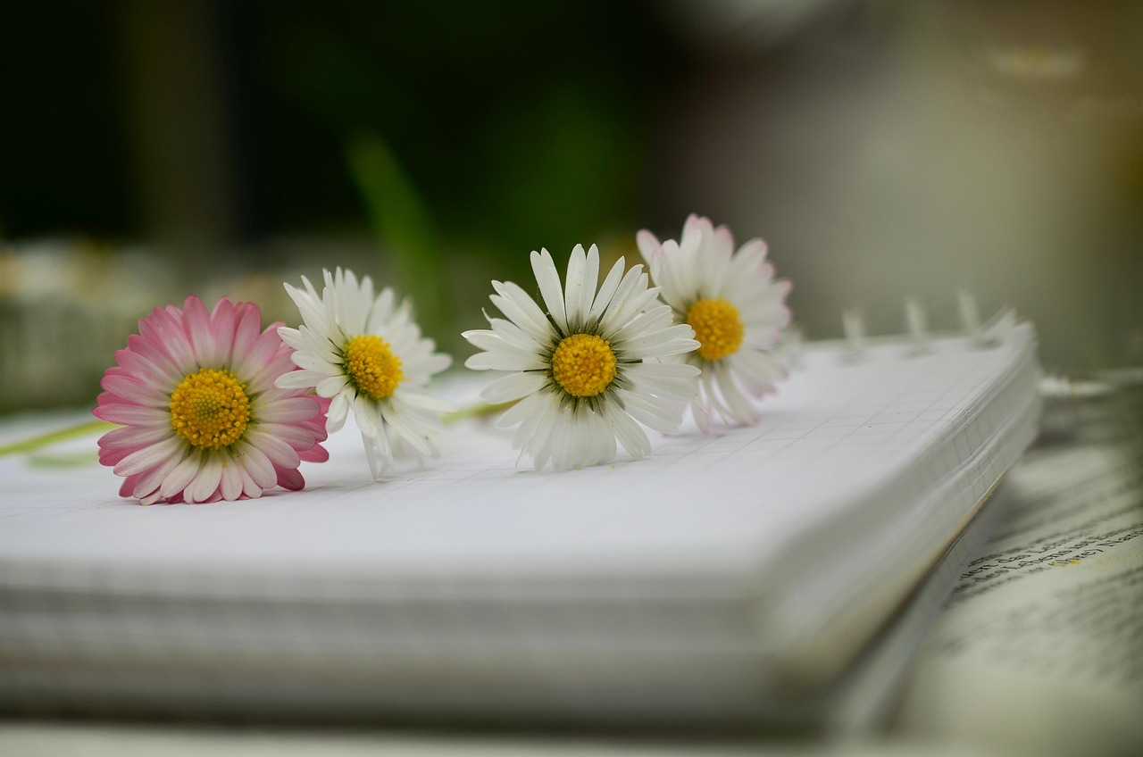 NOTEBOOK BOOK 관련 사진