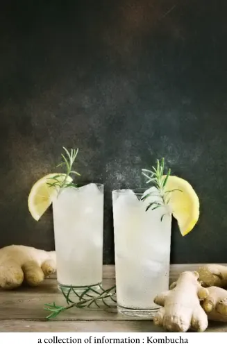 kombucha