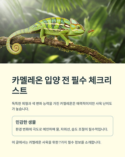 카멜레온 입양 전 필수 체크리스트