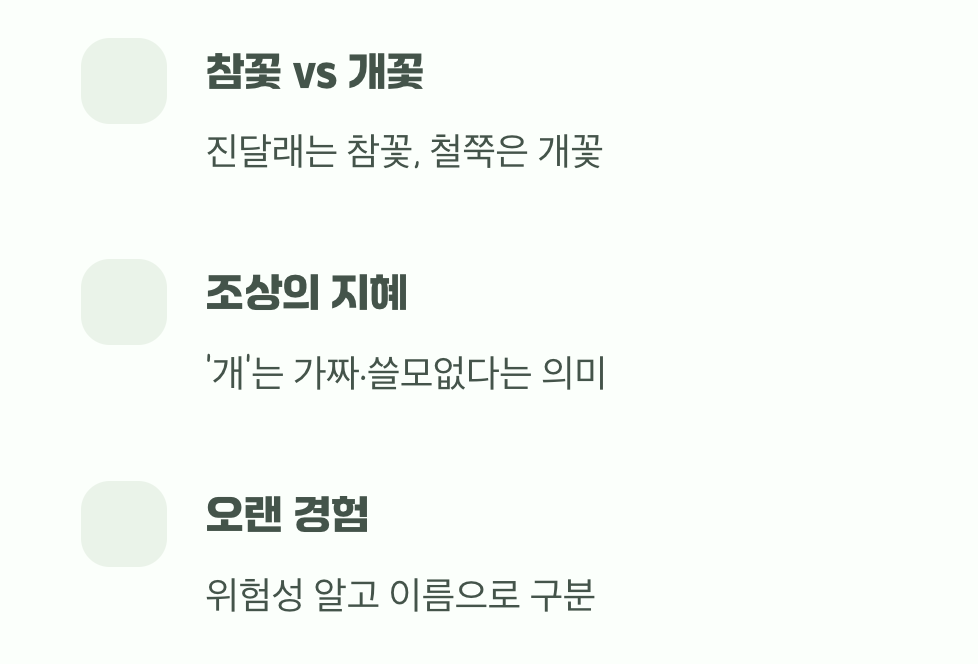 ‘개꽃’이라 불린 이유