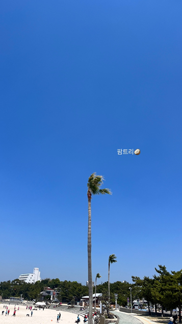 시라하마 해변(딸의 감성사진)