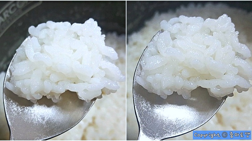 된밥-진밥-차이