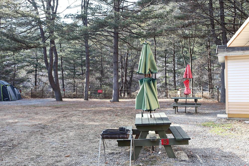 힐링별밤수목원캠핑장 소개