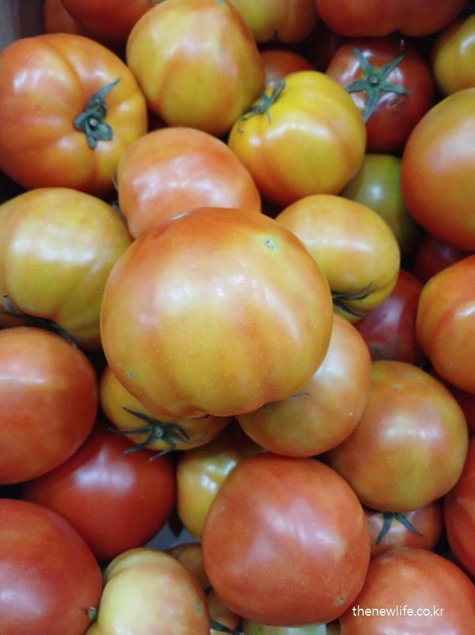 토마토는 칼륨과 항산화 성분인 리코펜이 풍부해 소금을 많이 먹으면 발생하는 혈압 상승과 소금 부작용 예방에 효과적입니다.