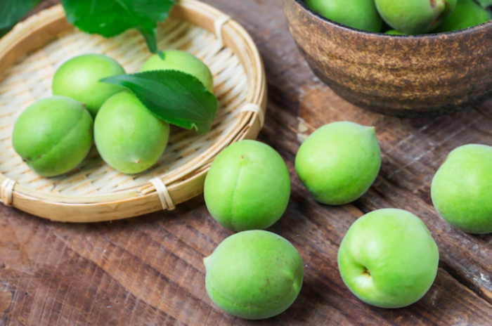 피크르산 성분 함유 천연 소화제 역활