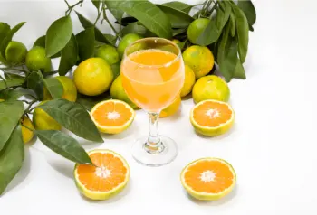 글루타치온이 많이 들어있는 음식 BEST 10