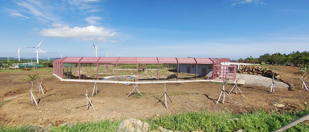 제주 최초 이송 사례