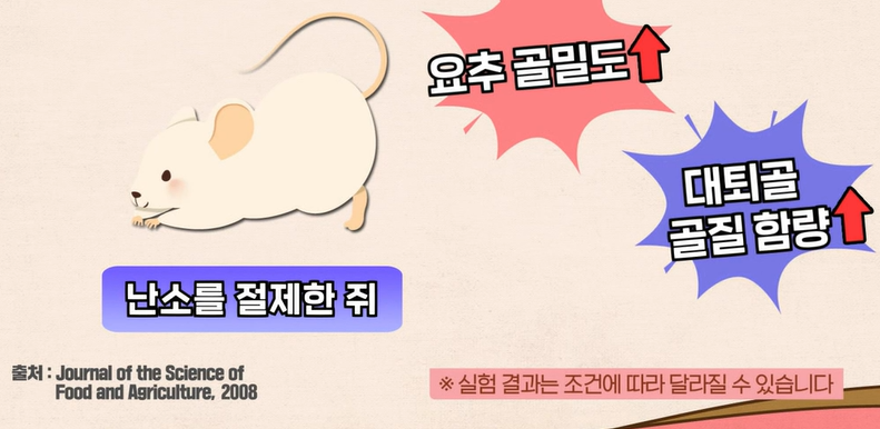 산양유 단백질 효능