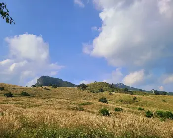 황매산 억새축제_10