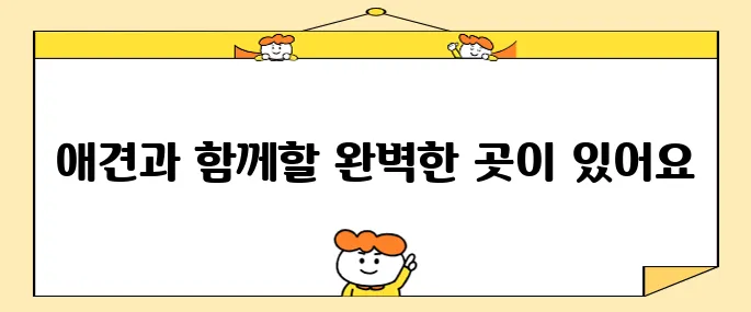 강원도 평창에서 휘닉스파크 근처에 있는 애견 동반 숙소를 추천합니다, 꼭 확인해 보세요!